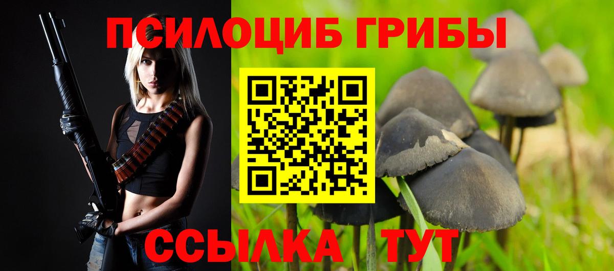 Галлюциногенные грибы мицелий Краснознаменск